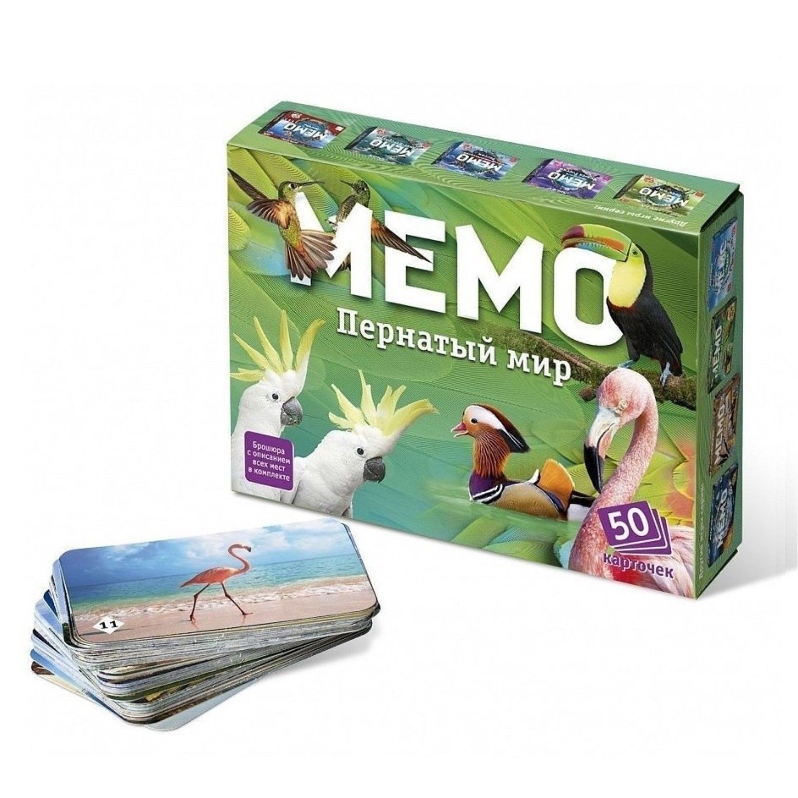 Настольная игра Мемо. Пернатый мир , 50 карточек + познавательная брошюра