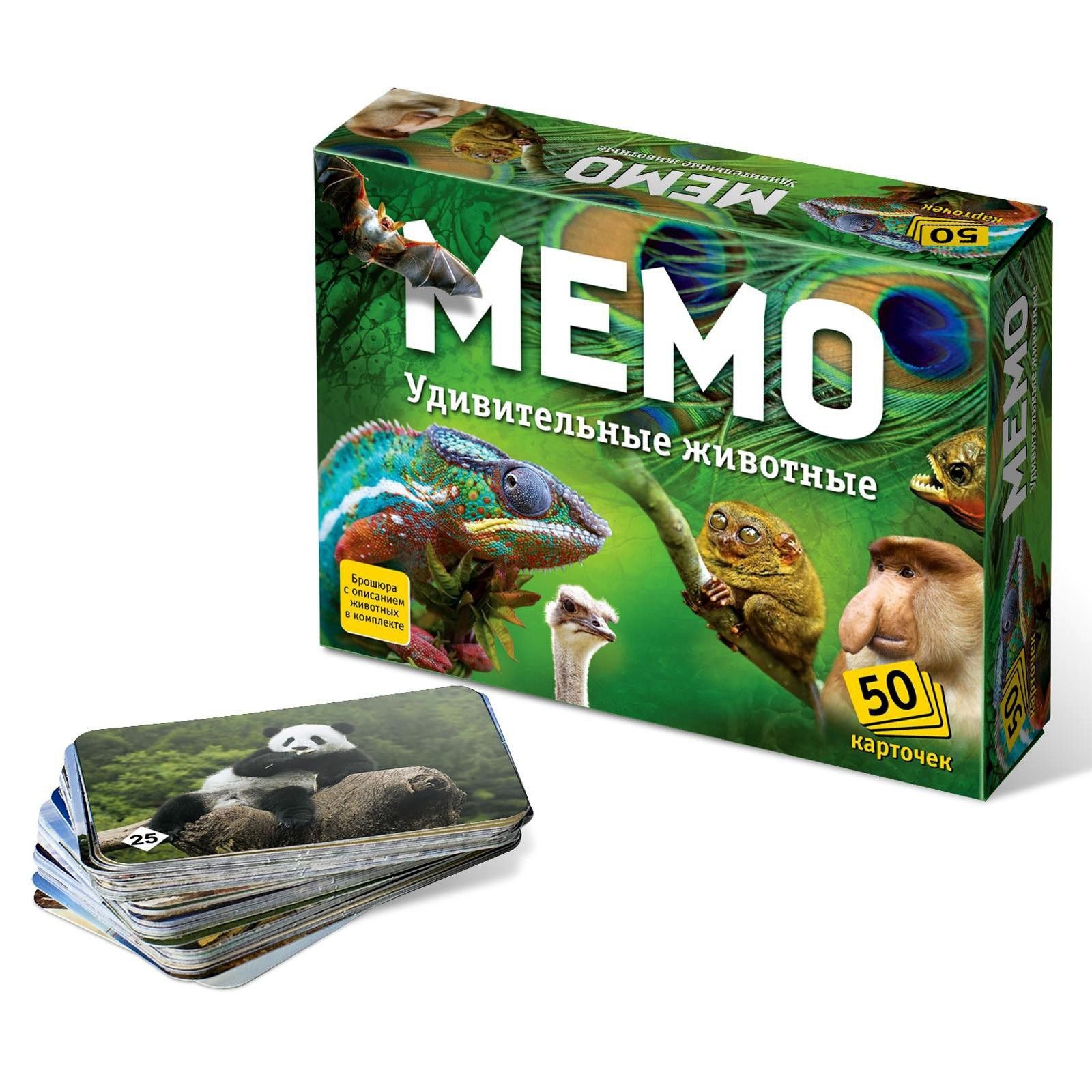 Настольная игра Мемо. Удивительные животные , 50 карточек + познавательная брошюра