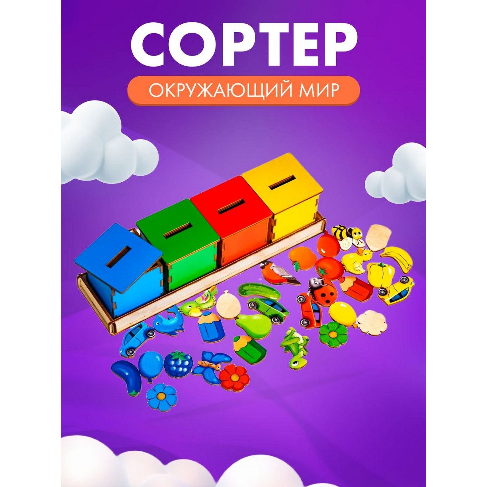Сортер Окружающий мир