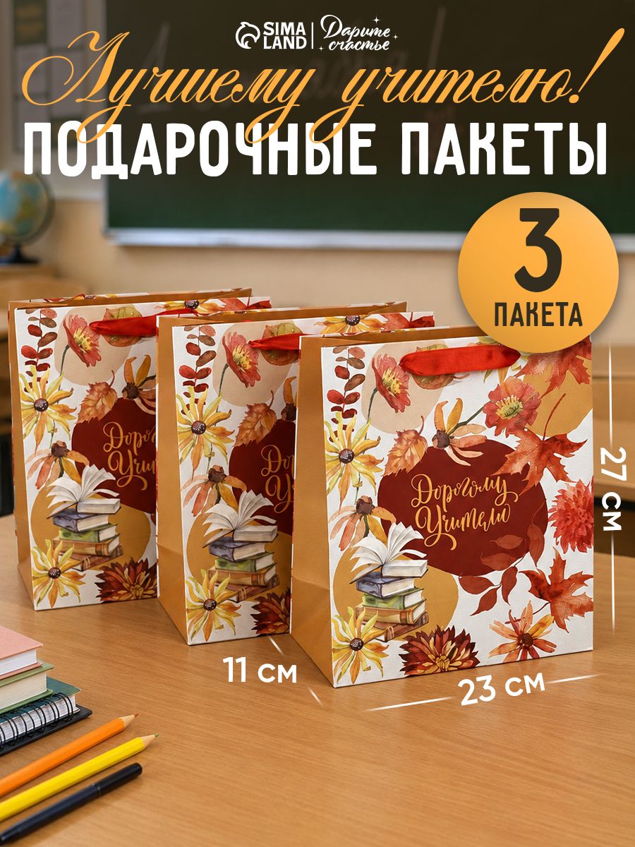 Пакеты подарочные учителю, набор 3 шт, 27 х 23 х 11,5 см