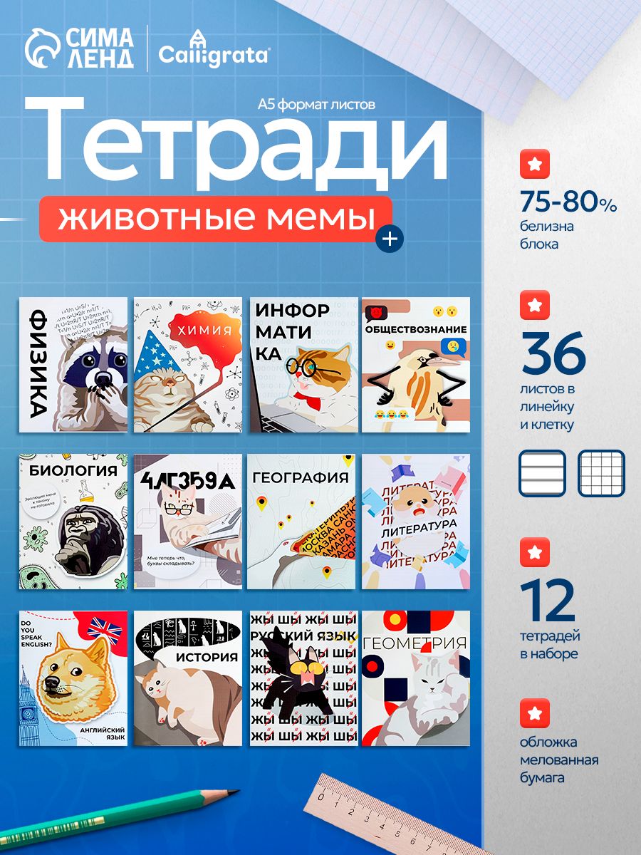 Тетради предметные 36 листов набор / 12 штук со справочным материалом