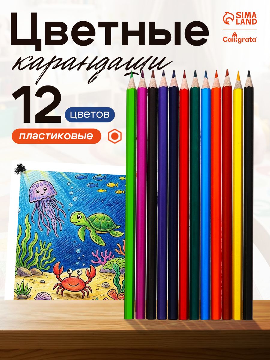 Карандаши цветные мягкие Calligrata для рисования 12 цветов
