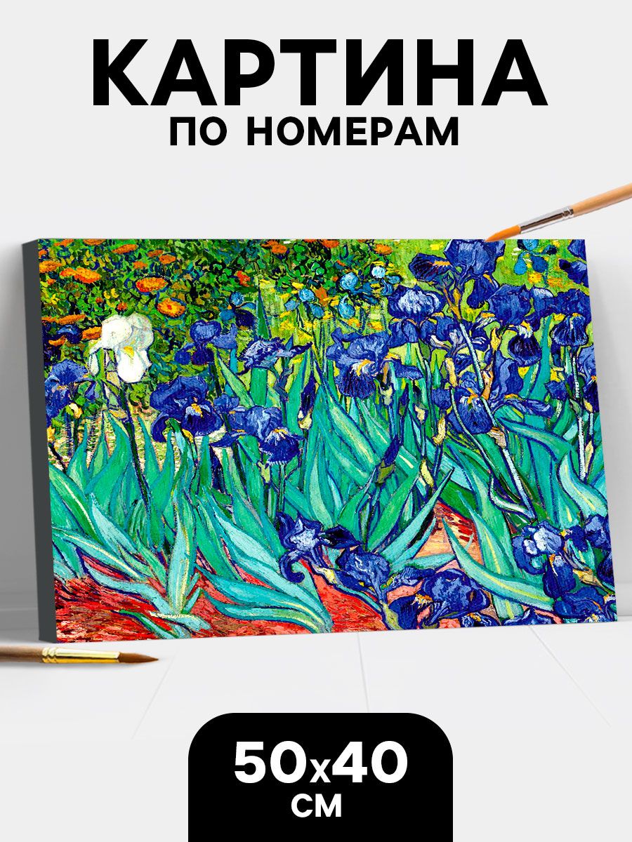 Картина по номерам на холсте с подрамником 40х50 / "Ирисы"