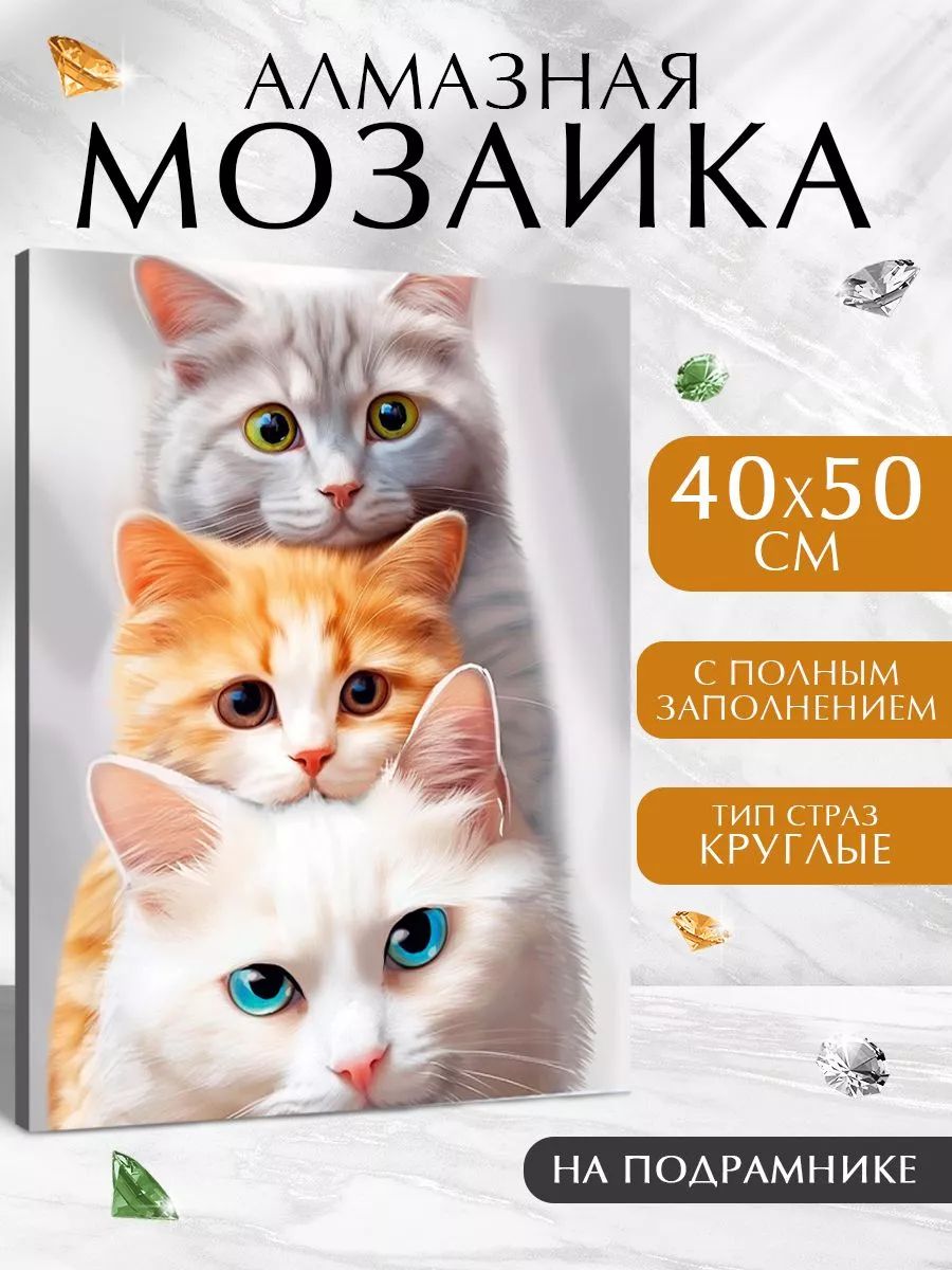Алмазная мозаика на подрамнике 40х50 / "Милые котята"