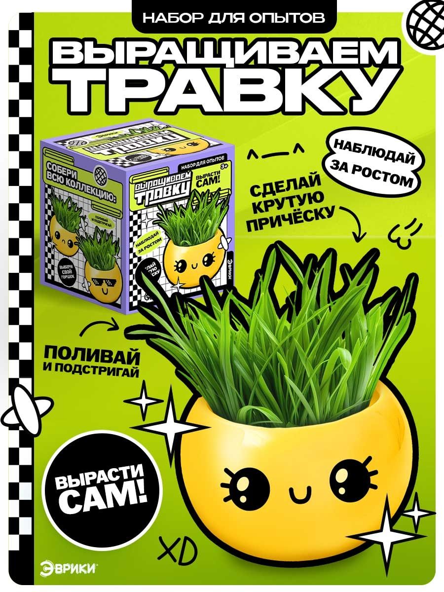 Выращиваем травку, детский набор для выращивания растений, набор опытов для детей