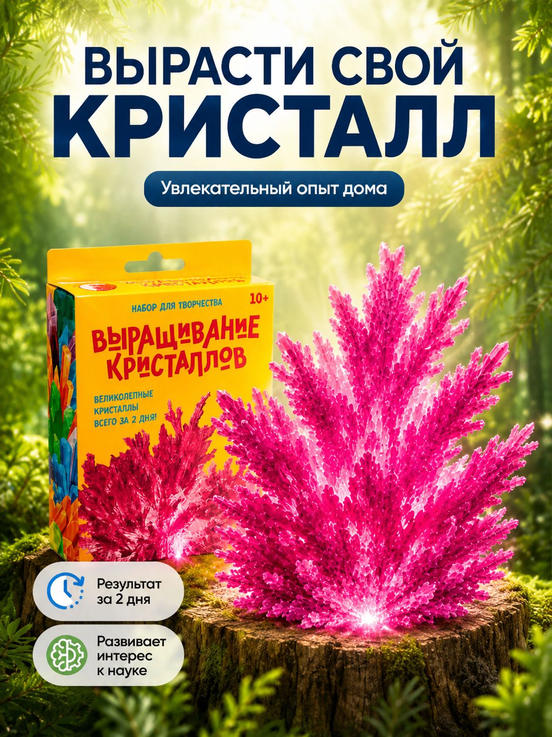 Выращивание кристаллов Эврики "Пурпур" / Эксперименты для детей
