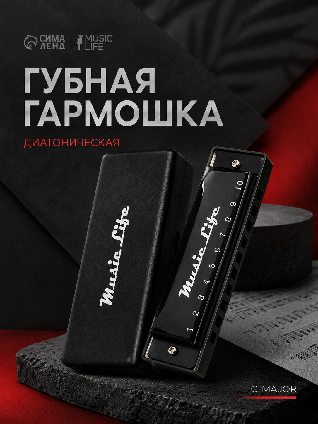 Губная гармошка диатоническая, C-major, с футляром, черная