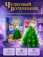 Выращивание кристаллов "Чудесный Волшебник" / Подарок на новый год 2027