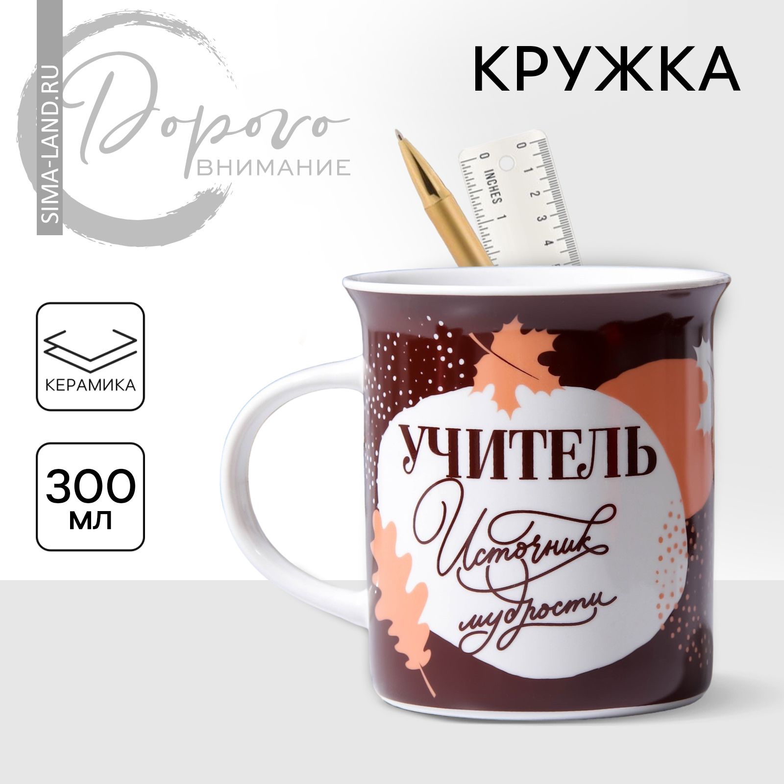 Кружка подарочная "Учитель источник мудрости", 300 мл.