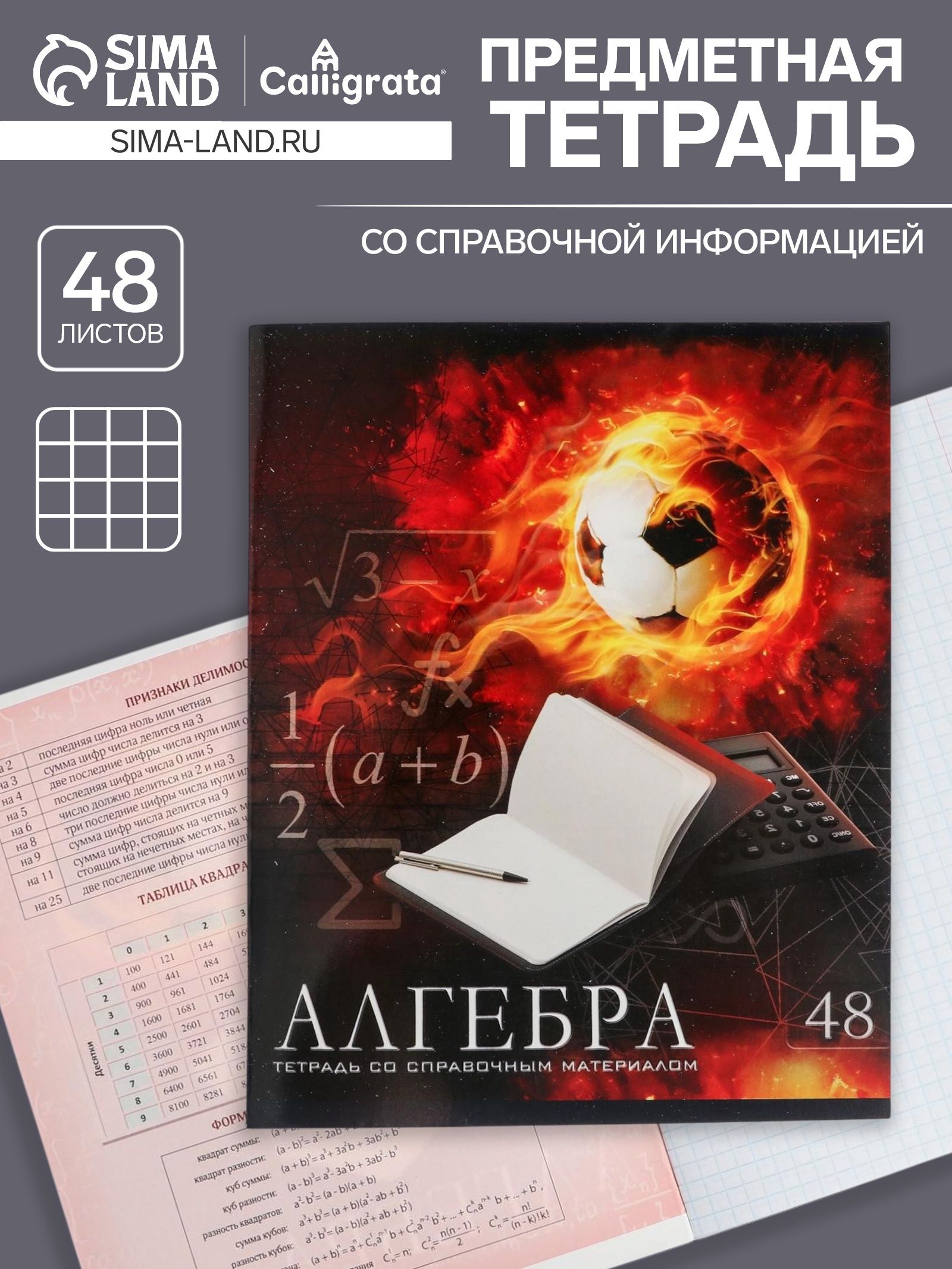 Тетрадь предметная 48 листов в клетку Calligrata, Футбол. Алгебра , обложка мелованный картон