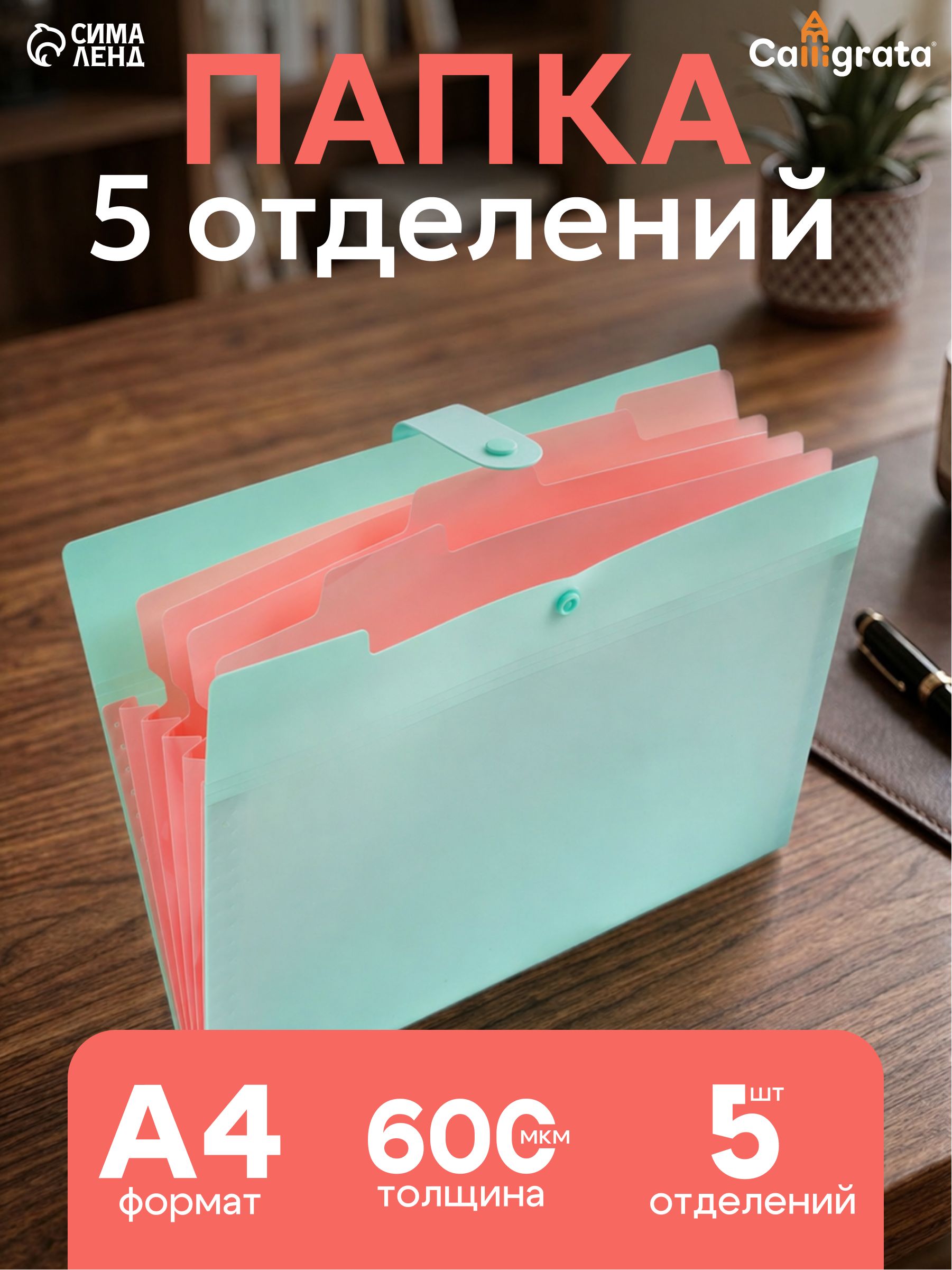 Папка для документов А4, 5 отделений, семейная, на кнопке