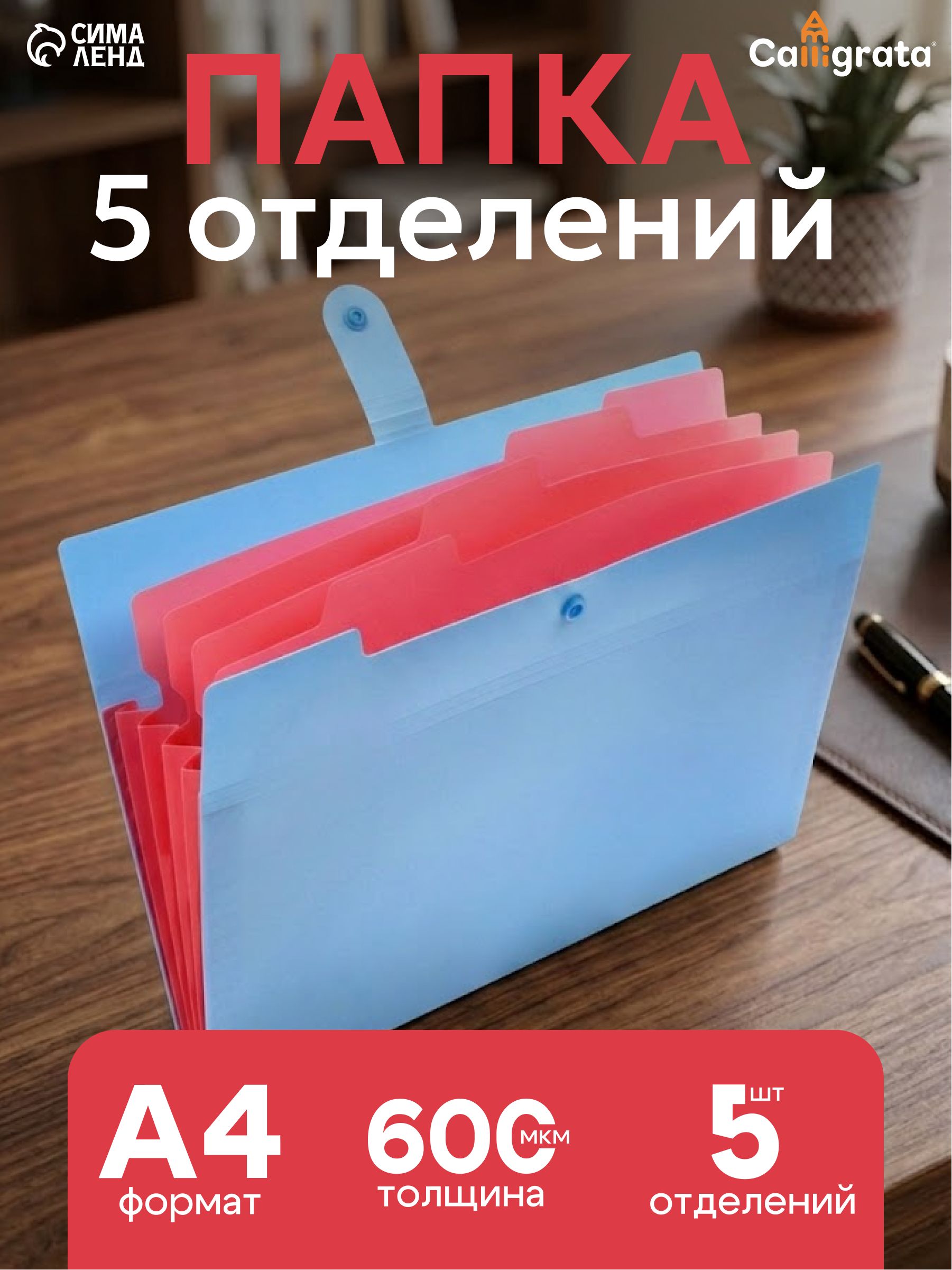 Папка для документов А4, органайзер 5 отделений, папка для документов семейная, на кнопке голубая