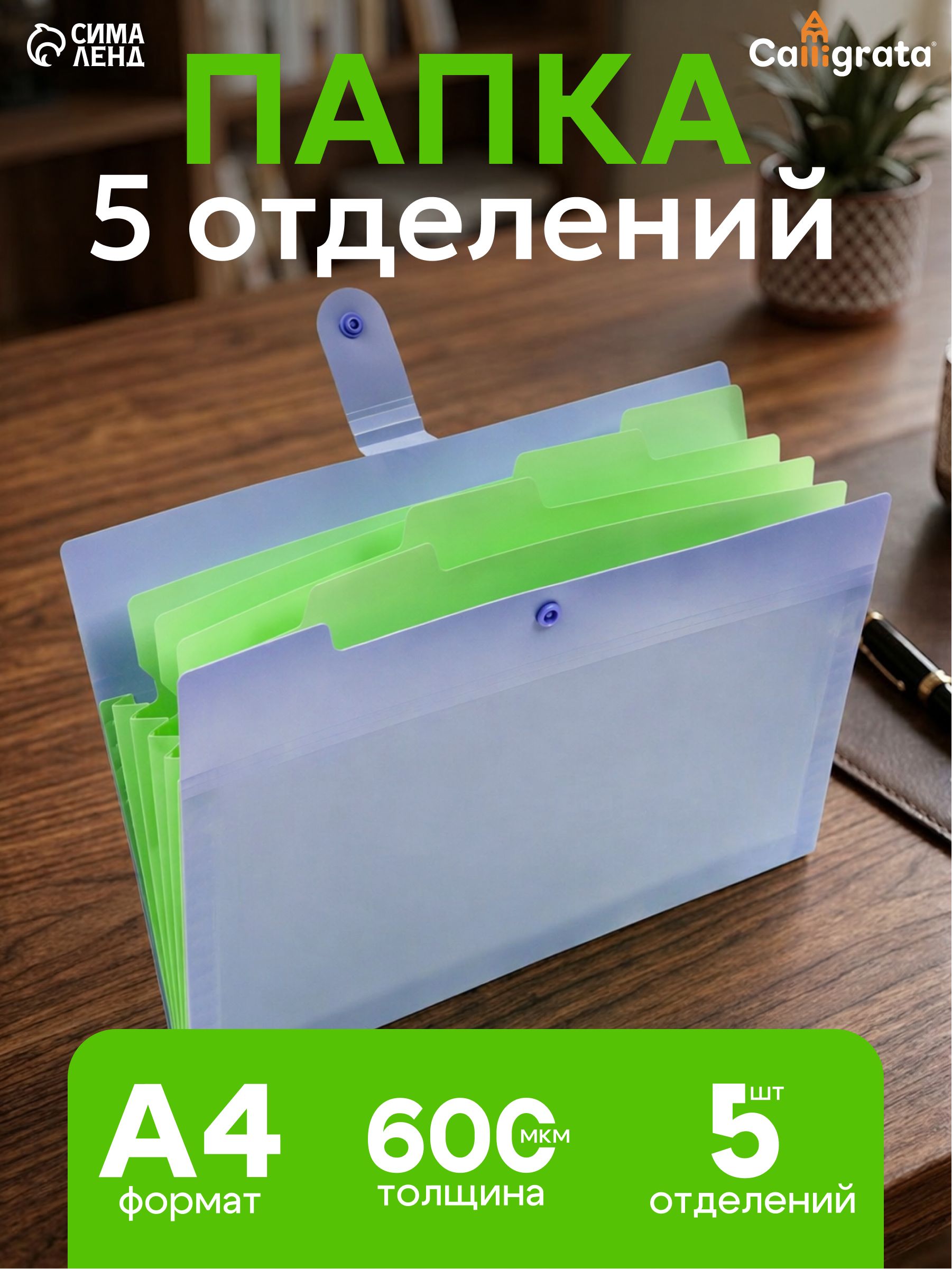 Папка для документов А4, органайзер 5 отделений, семейная, сиреневая