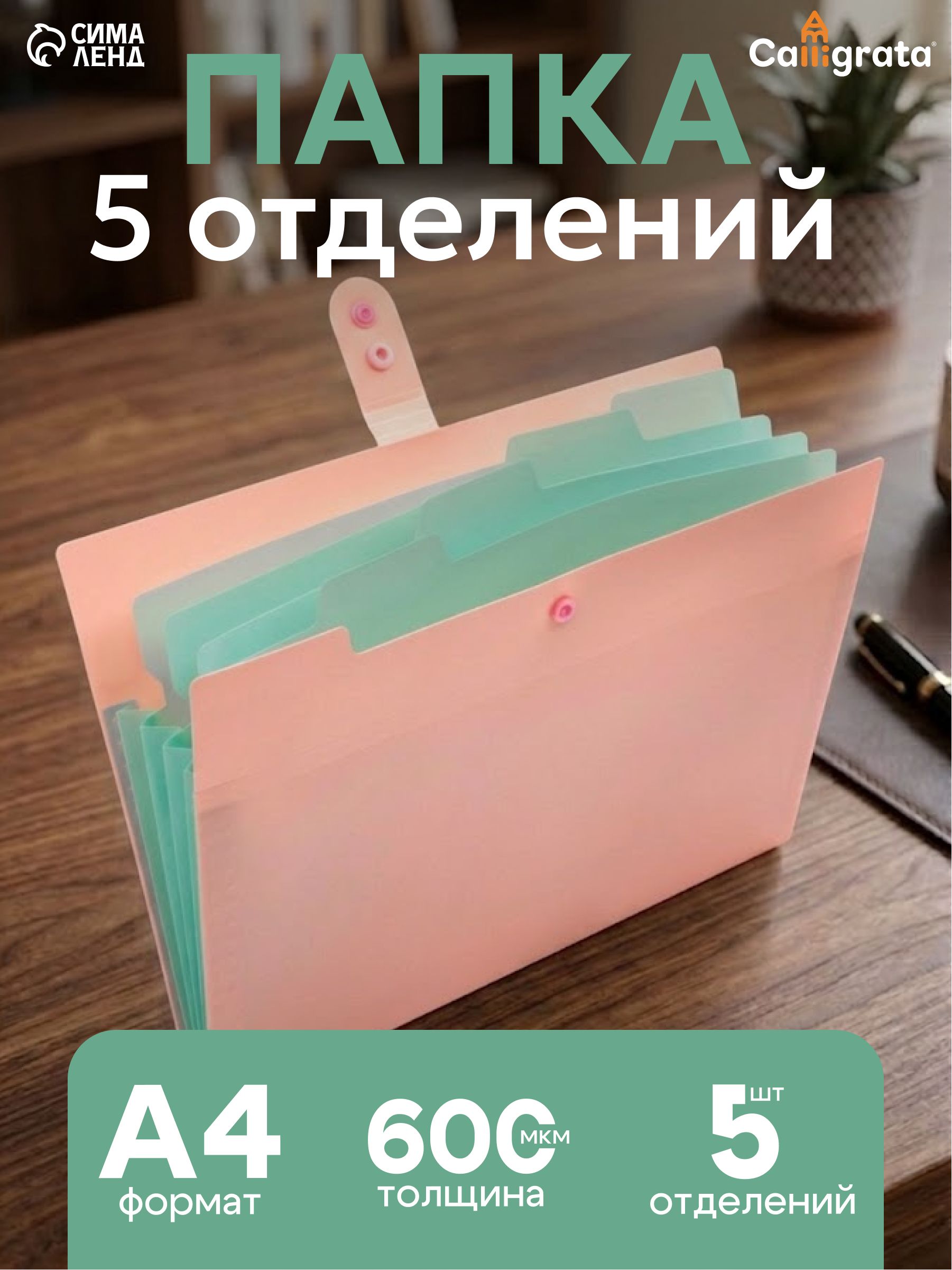 Папка для документов А4, органайзер 5 отделений, семейная, розовая