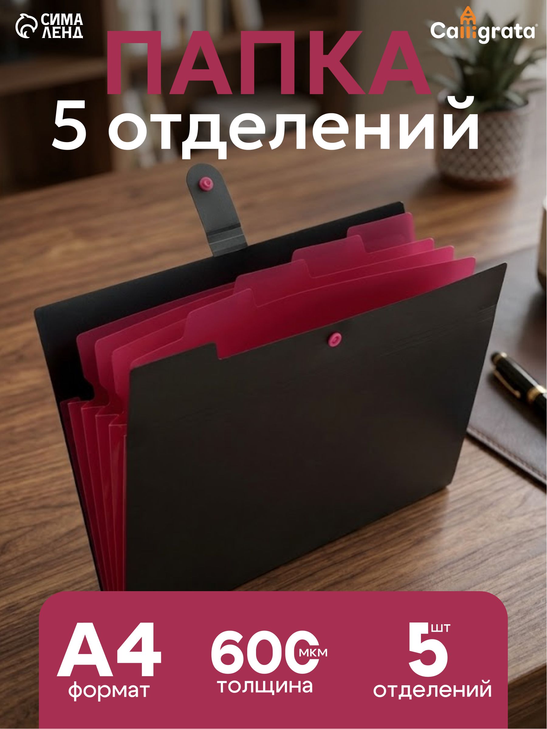 Папка для документов А4, 5 отделений, семейная, на кнопке черная