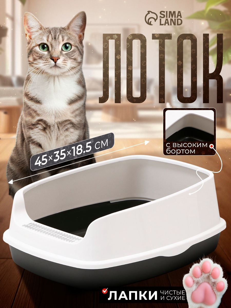 Лоток для кошек большой, с бортом, 45 х 35 х 18.5 см