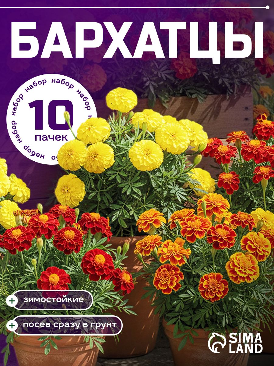 Набор семян Бархатцы, 10 сортов