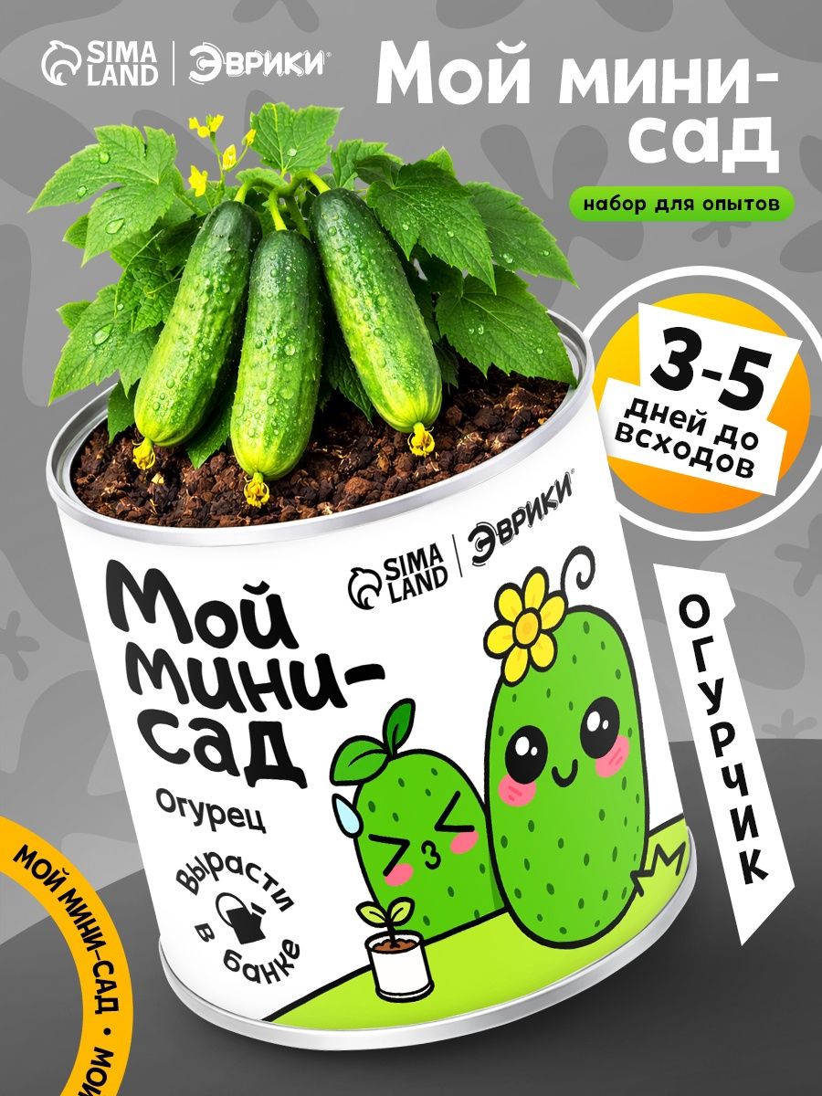 Набор для выращивания растений, мини-сад, "Огурец"