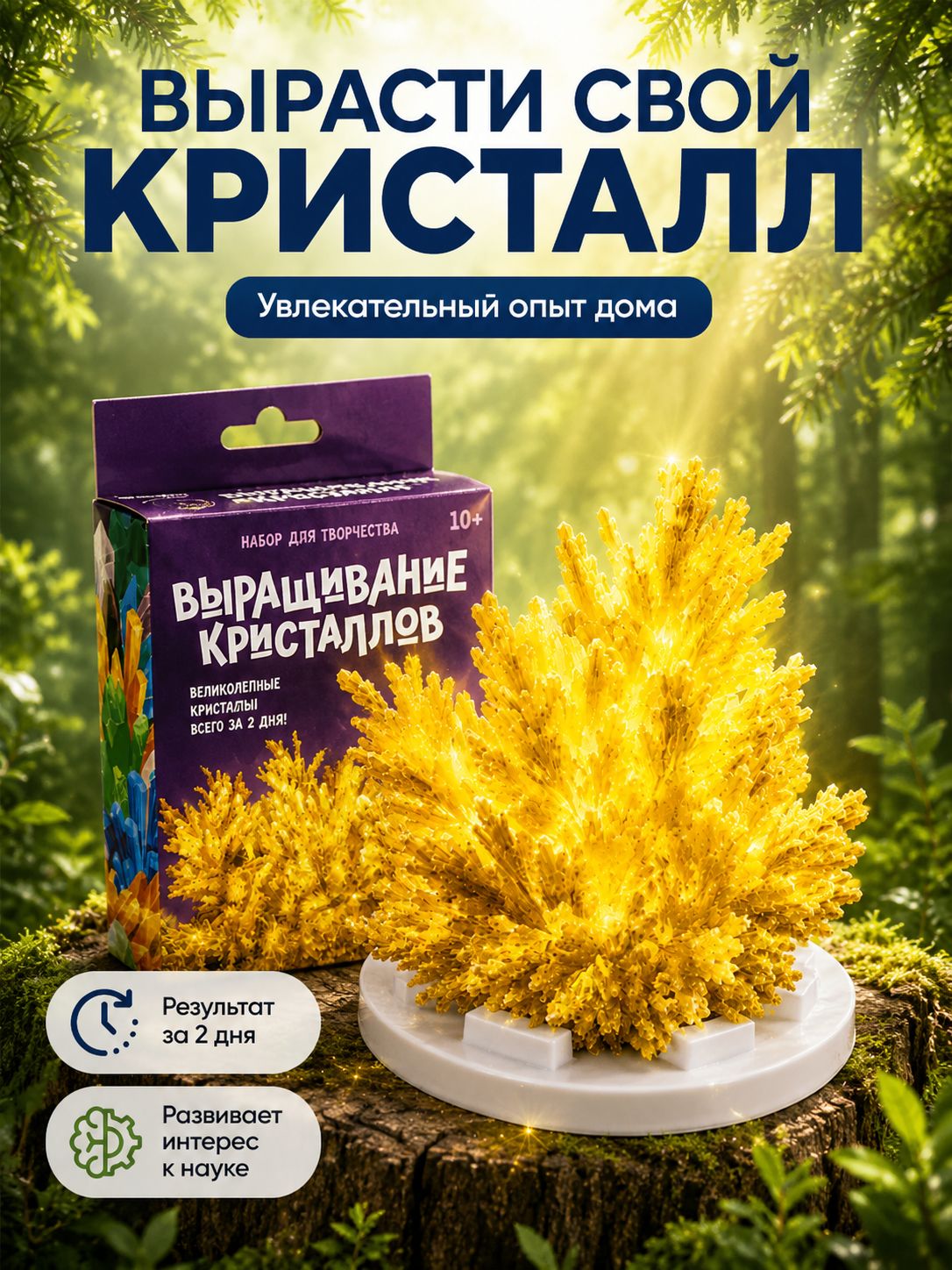 Выращивание кристаллов Эврики "Солнце" / Эксперименты и опыты для детей