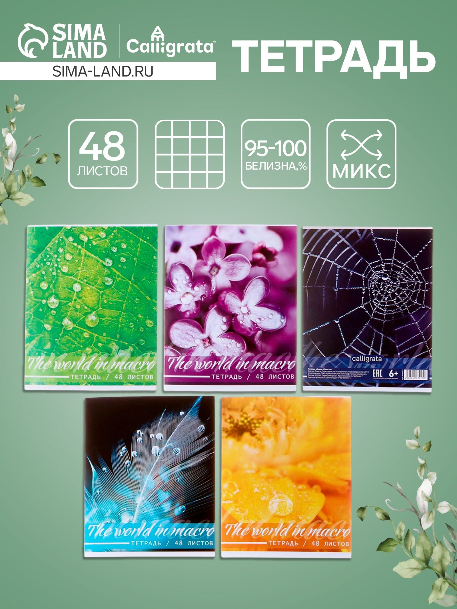 Тетрадь 48 листов в клетку, Calligrata Микромир
