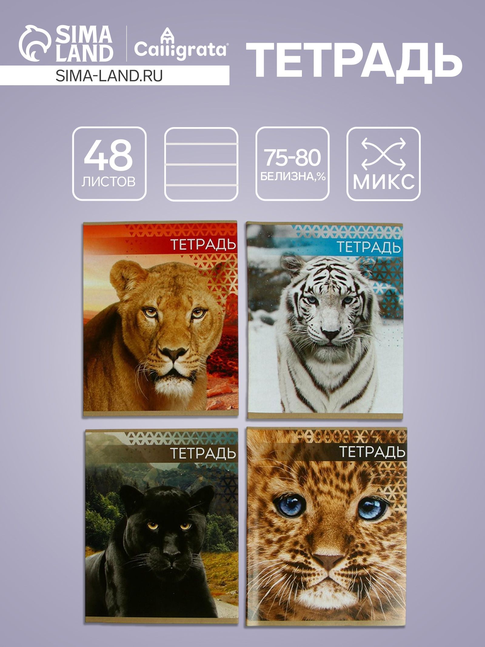 Тетрадь Дикие кошки , 48 листов, в клетку