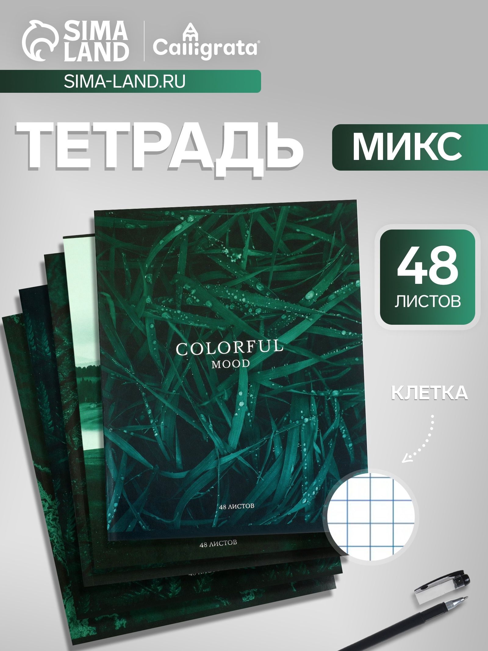 Тетрадь 48 листов в клетку, Calligrata Изумруд