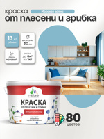 Влагостойкая краска от плесени и грибка Malare Professional акриловая для кухни, ванной комнаты, для сырых помещений, быстросохнущая без запаха, морская волна, (9л - 13кг)