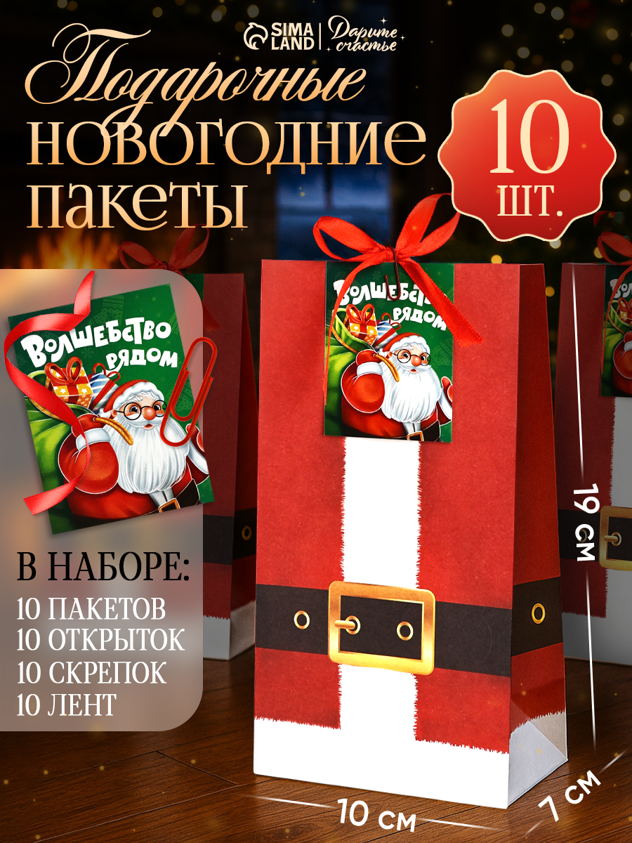 Пакеты подарочные новогодние, набор 10 шт, 12 х 24 см