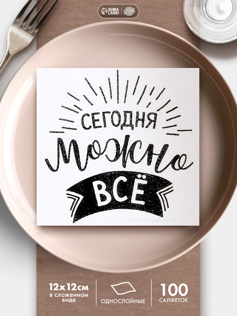 Салфетки бумажные однослойные Сегодня можно все / 24х24 см / Набор 100 шт.