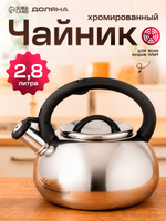 Чайник со свистком, 2,8 л, нержавеющая сталь, для всех видов плит, хромированный
