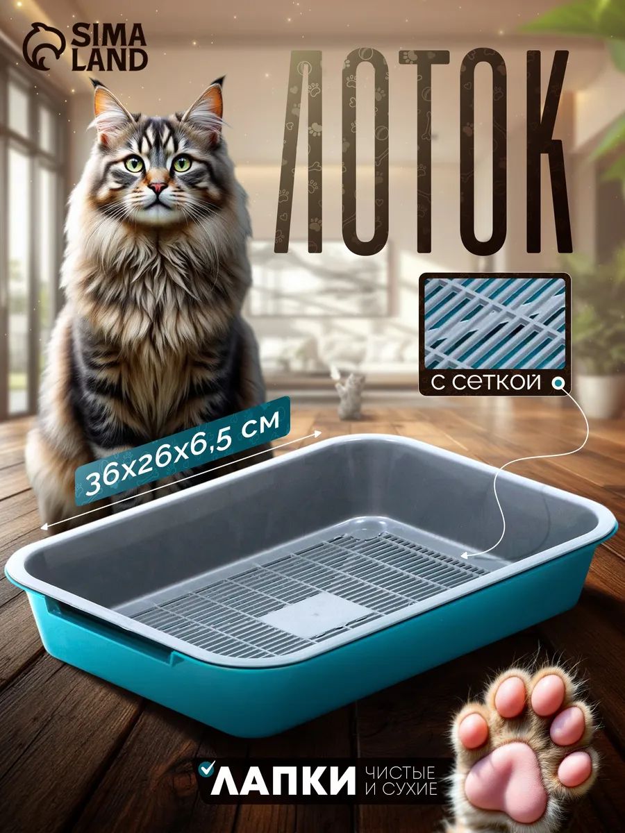Лоток для кошек с сеткой, 36x26x6,5 см, серый, бирюзовый