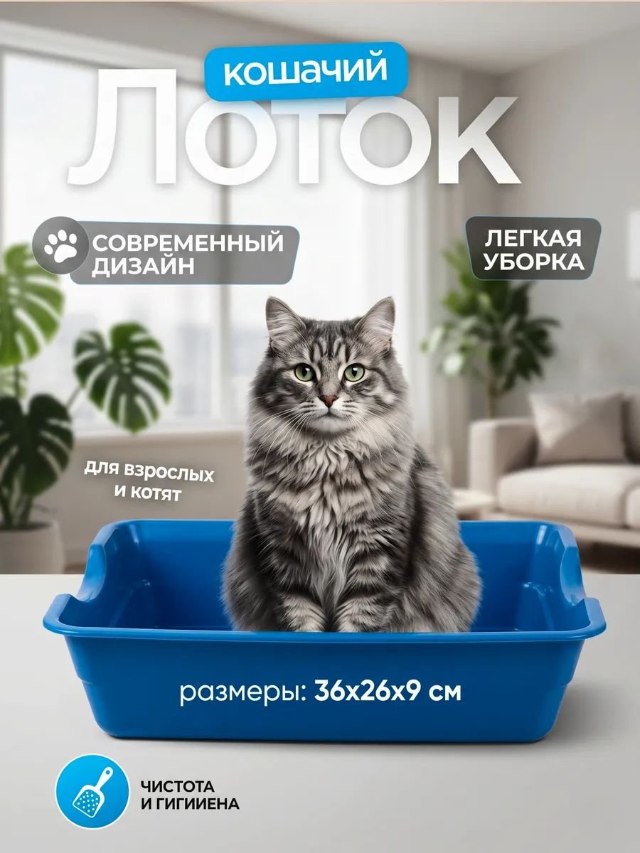 Лоток для кошек, 36x26x9 см, без сетки, синий