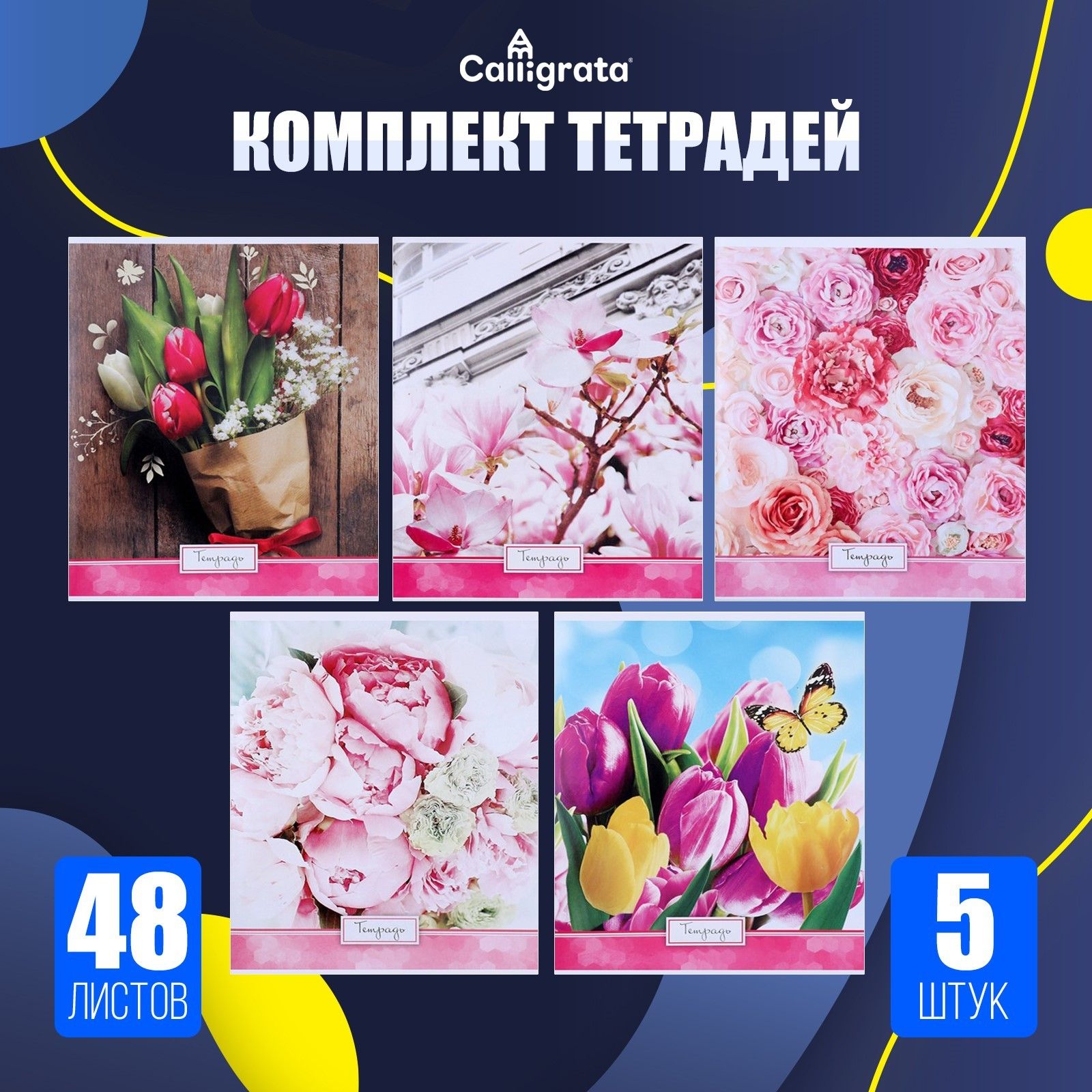 Тетради 5 штук, 48 листов в клетку