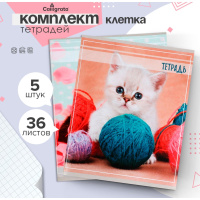 Тетради 5 штук, 36 листов в клетку Calligrata Котята , обложка мелованный картон, блок офсет