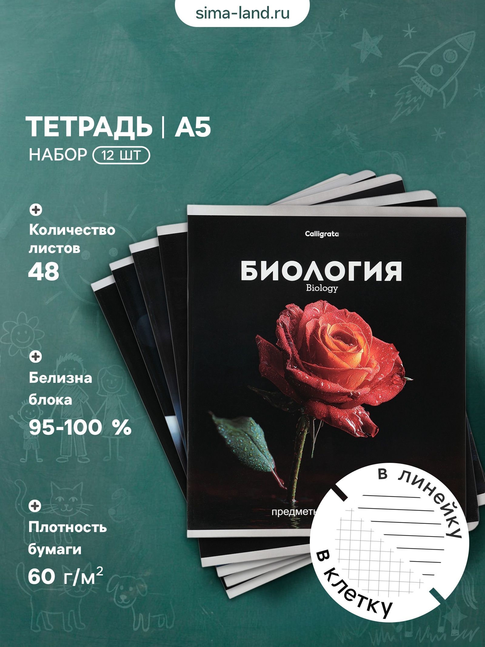 Тетради предметные 12 шт. Черная серия , 48 листов, со справочной информацией