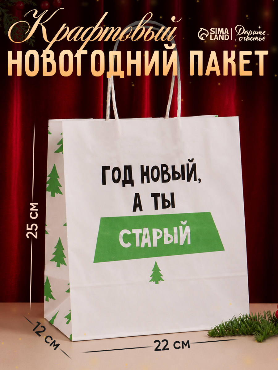 Пакет подарочный новогодний, 22 х 25 х 12 см