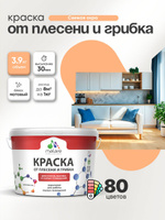 Влагостойкая краска от плесени и грибка Malare Professional акриловая для кухни, ванной комнаты, для сырых помещений, быстросохнущая без запаха, свежая охра, (2.7л - 3.9кг)