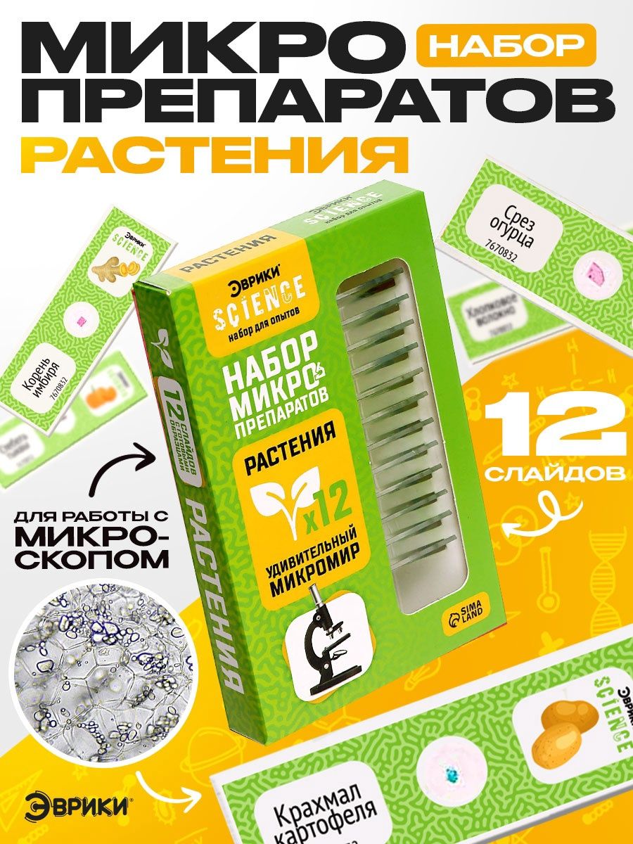 Набор для опытов Эврики "Набор микропрепаратов", растения, для детей