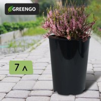 Горшок для рассады, 7 л, 22 х 22 х 26 см, для роз, На фото — предложение продавца