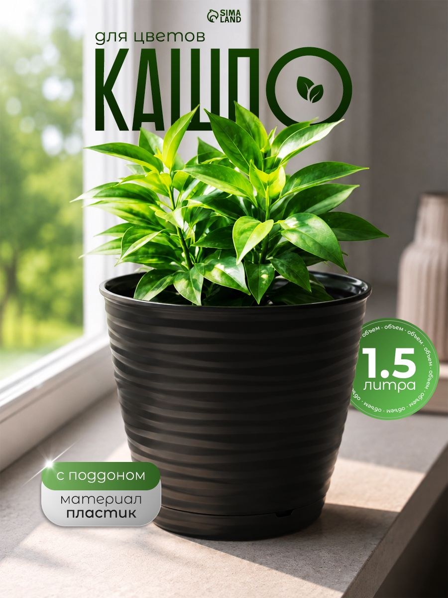 Горшок для цветов с поддоном Saffron, 1,5 л, d 14,6 см, h 13,5 см, цвет чёрный, На фото — предложение продавца