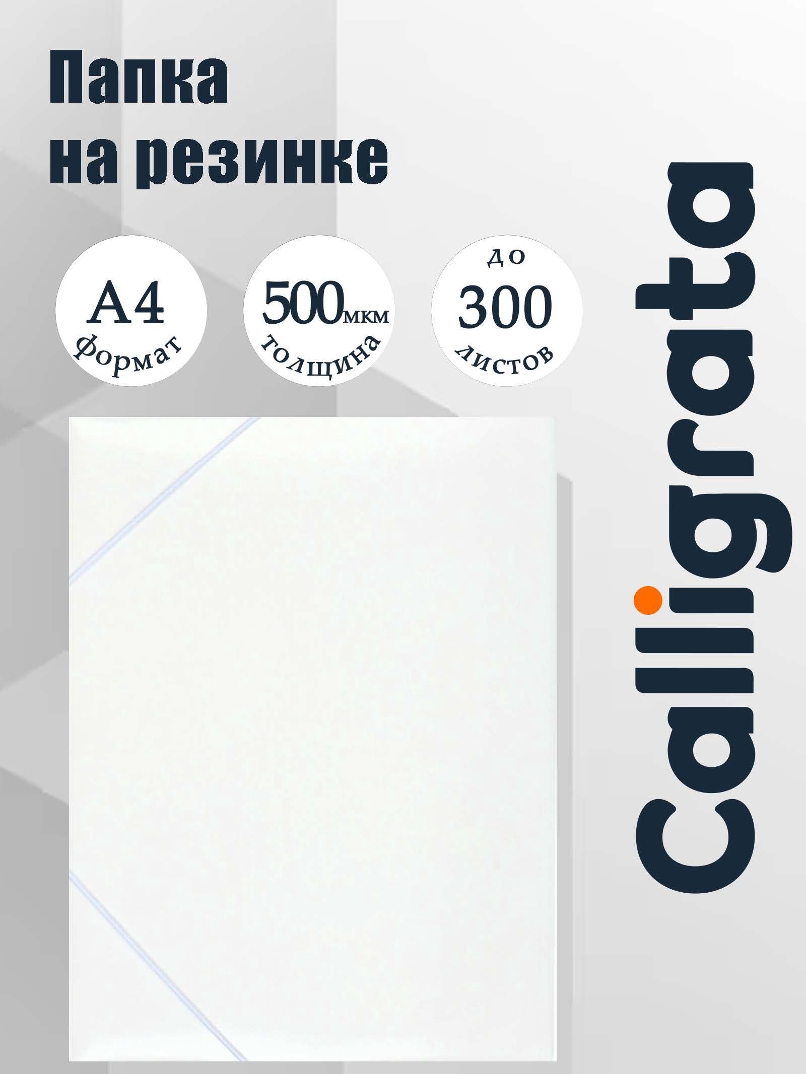 Папка на резинке А4 для бумаг и листов, Calligrata, до 100 листов, белая, На фото — предложение продавца