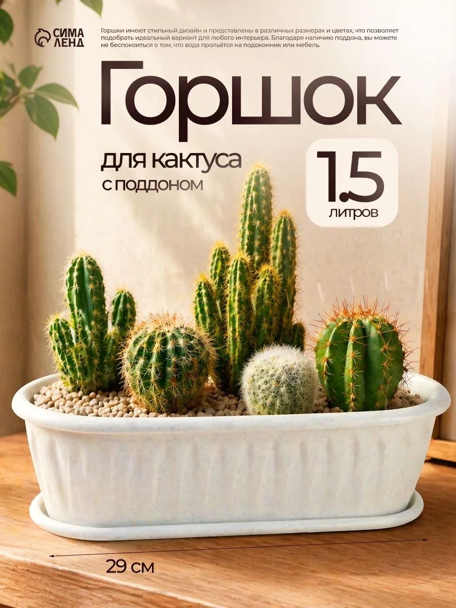 Кашпо для кактусов и суккулентов с поддоном 1,5 л, пластиковый горшок для комнатных растений, прямоугольное кашпо для цветов, цвет мрамор, На фото — предложение продавца