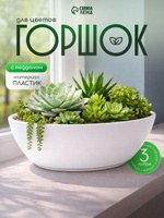Горшок для цветов комнатных, с поддоном / 3 л, белый / Кашпо для суккулентов, На фото — предложение продавца