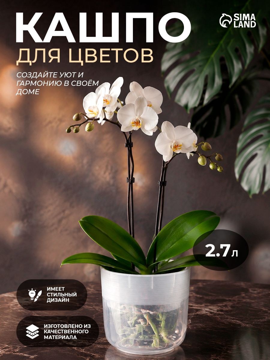 Кашпо для цветов со вставкой Линель 2,7 л, прозрачное, горшок для цветов пластиковый, кашпо для комнатных растений и орхидей, На фото — предложение продавца