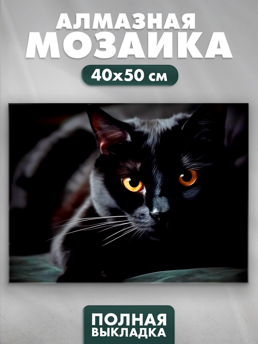 Алмазная мозаика 40х50 см "Черный кот" / картина алмазная стразами, На фото — предложение продавца