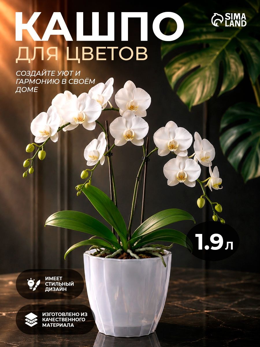 Кашпо для цветов Флюте 1,9 л со вставкой, прозрачное, горшок для комнатных растений, для орхидей, На фото — предложение продавца