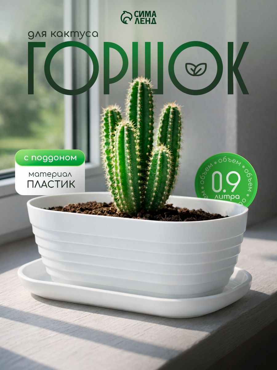 Горшок для цветов, 0,9 л, кашпо уличное, ящик пластиковый, для суккулентов и кактусов, с поддоном, На фото — предложение продавца