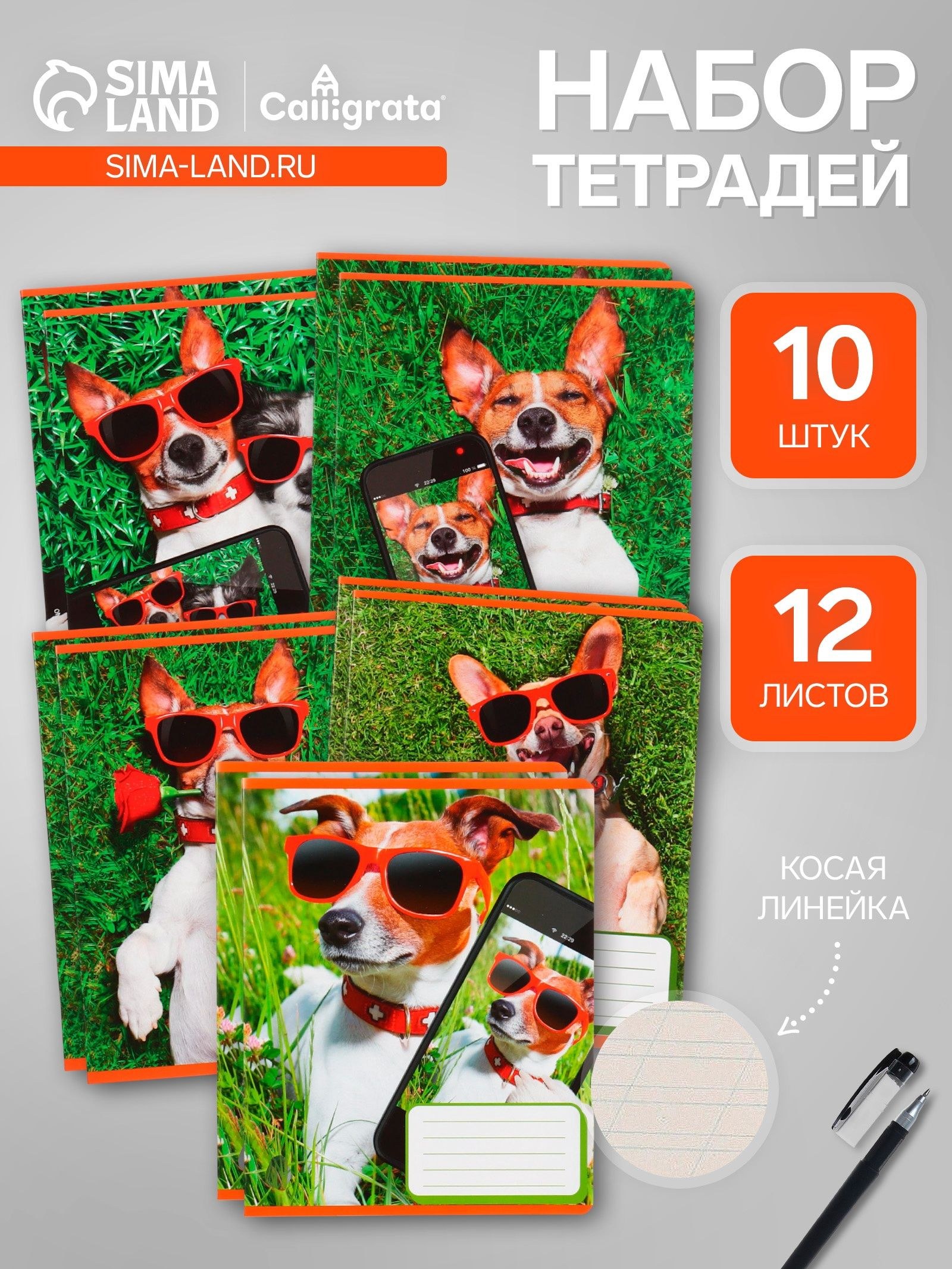 Тетради 10 штук, 12 листов в косую линию СелфиDOG , обложка мелованная бумага, ВД-лак, блок №2, белизна 75% (серые листы), 5 видов, На фото — предложение продавца