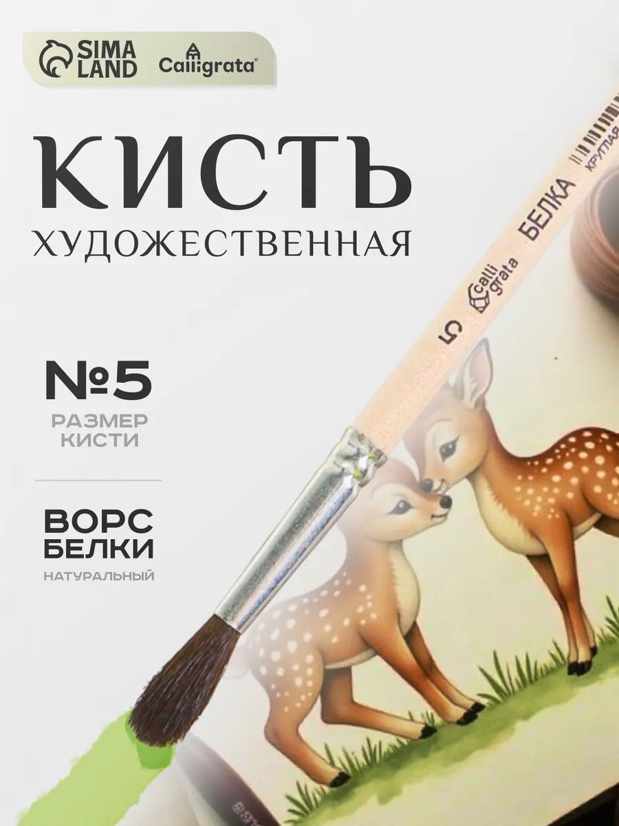 Кисть Белка круглая №5 Calligrata, длина волоса 20 мм, для рисования акварелью, гуашью и акрилом, На фото — предложение продавца