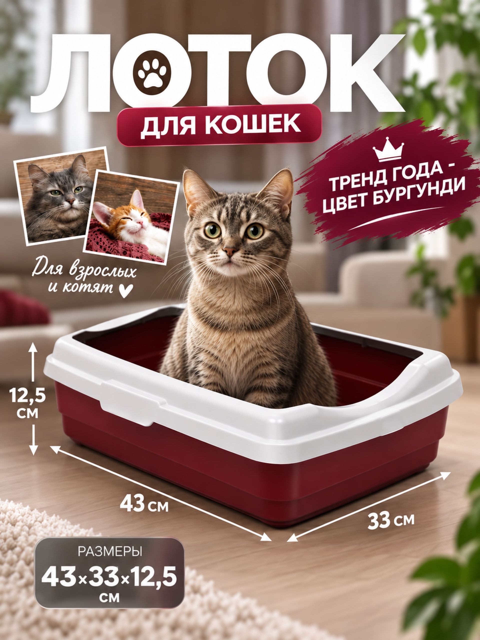 Лоток для кошек большой, 43x33x12.5 см, с бортами, На фото — предложение продавца